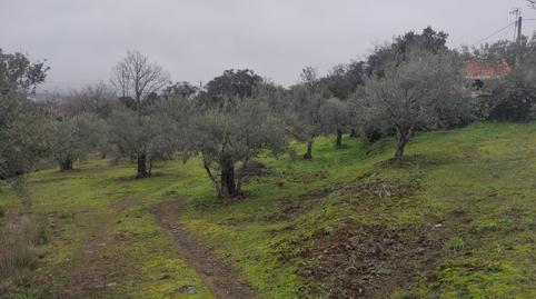 Photo 4 of Land for sale in Calle Virgen Puerto, 20, Miralvalle - Av. Virgen del Puerto - La Data, Cáceres