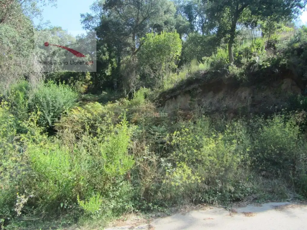 Residential land for sale in Carrer Figuera 31, imagen 2