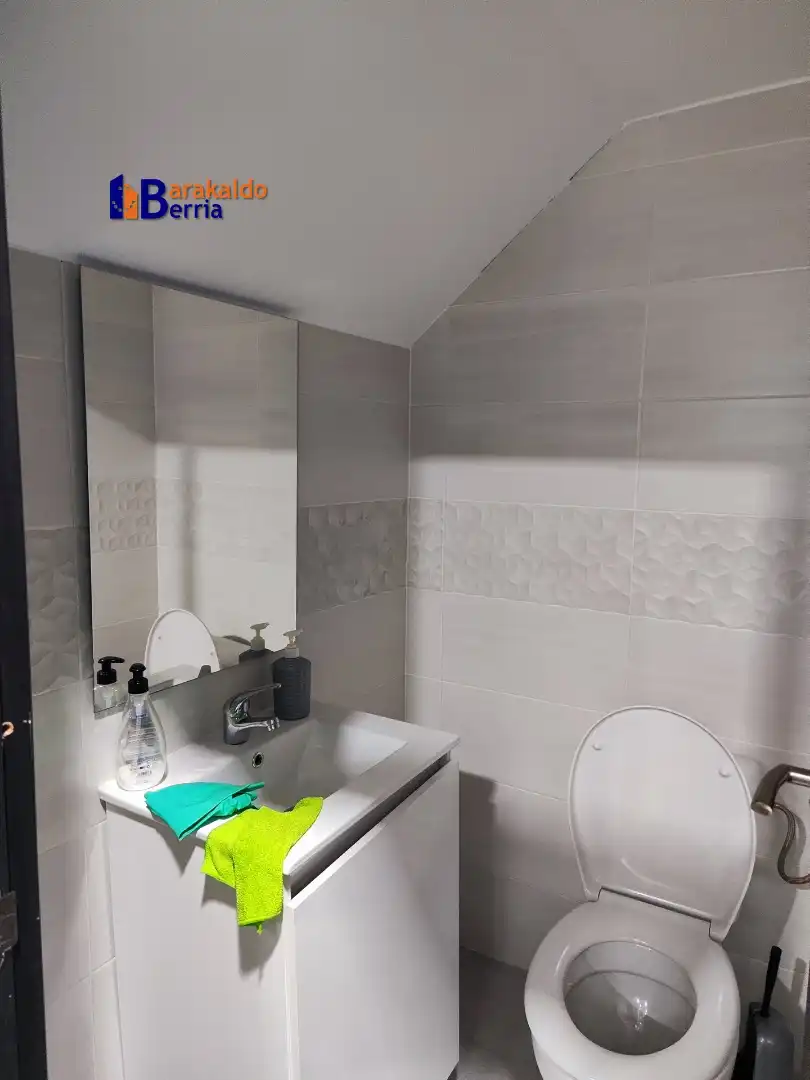 Baño de Nave industrial en venta en Valle de Trápaga-Trapagaran