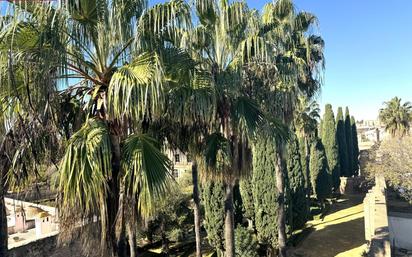 Jardí de Casa o xalet en venda en Jerez de la Frontera amb Aire condicionat, Calefacció i Parquet