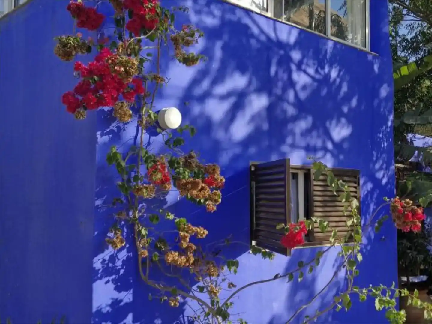 Exterior view of Houses for rent in Barbate  with Private garden, Parquet flooring and Swimming Pool