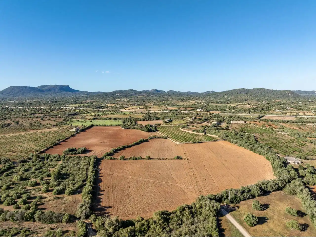 Terreno rustico in vendita a Llucmajor pueblo, imagen 119