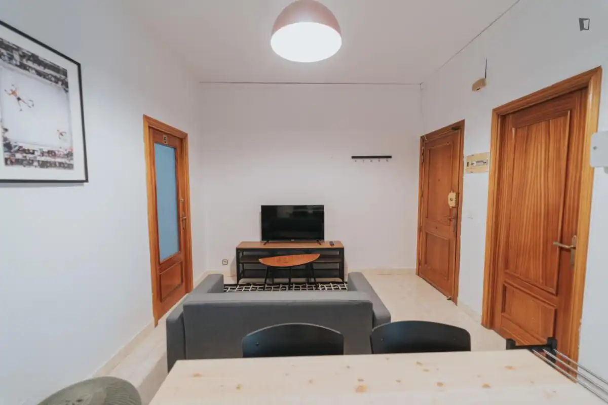 Living room of Apartments for share in Madrid  with Furnished, Oven and Washing machine