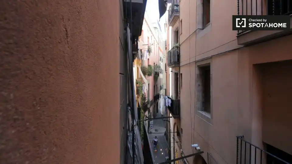 Habitació a Sant Pere, Sta. Caterina i la Ribera
