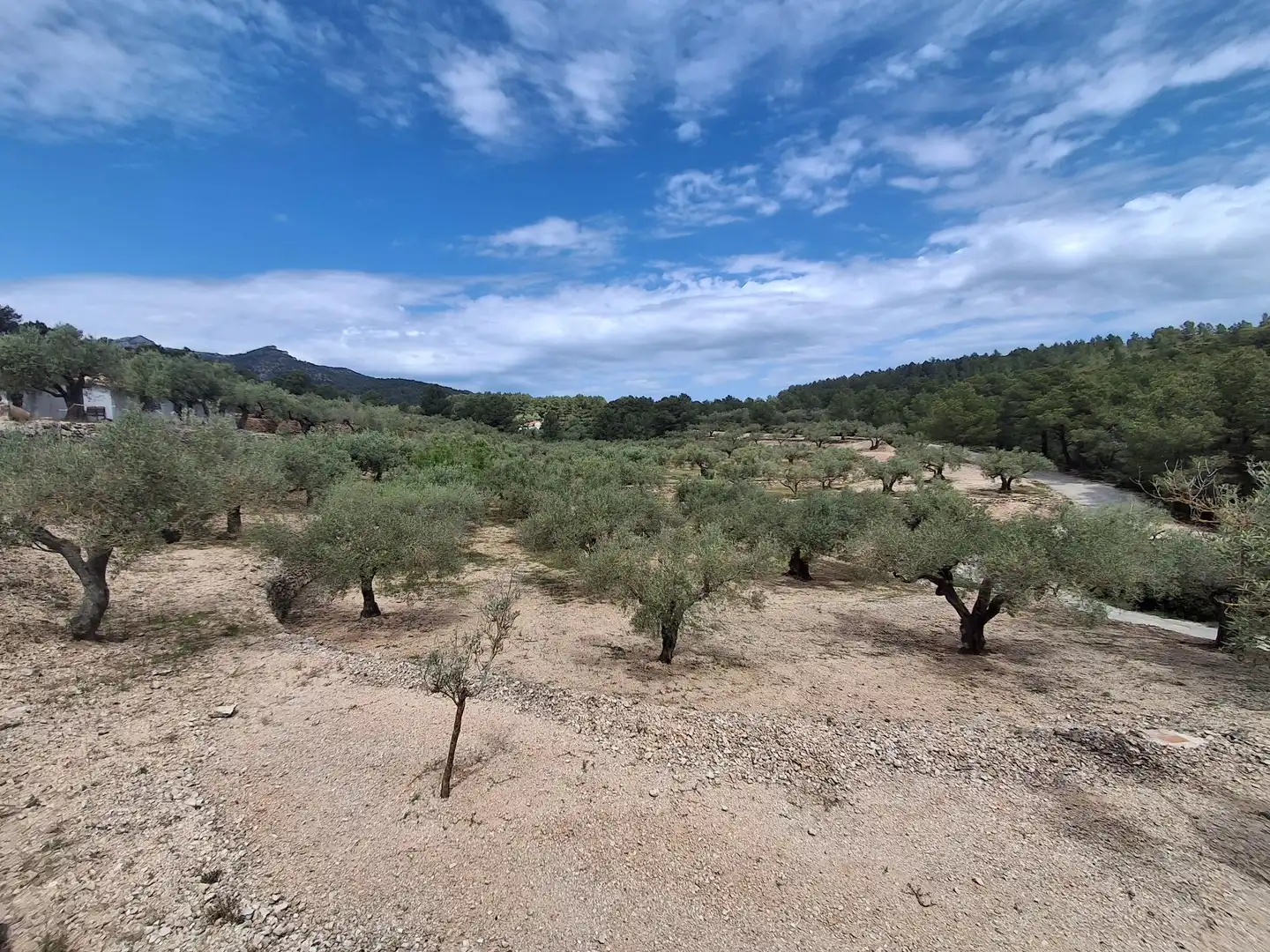 Terreno rustico in vendita a El Perelló, imagen 40
