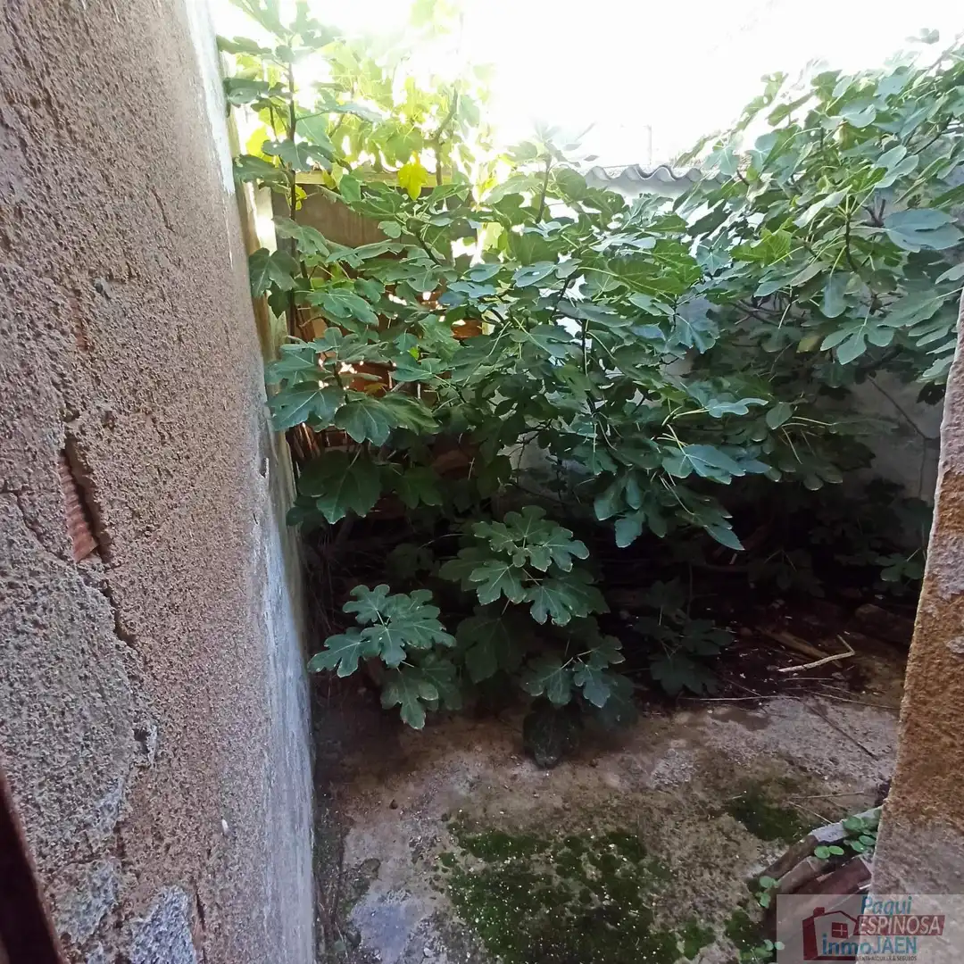 Haus zum Verkauf in Torredonjimeno, imagen 8