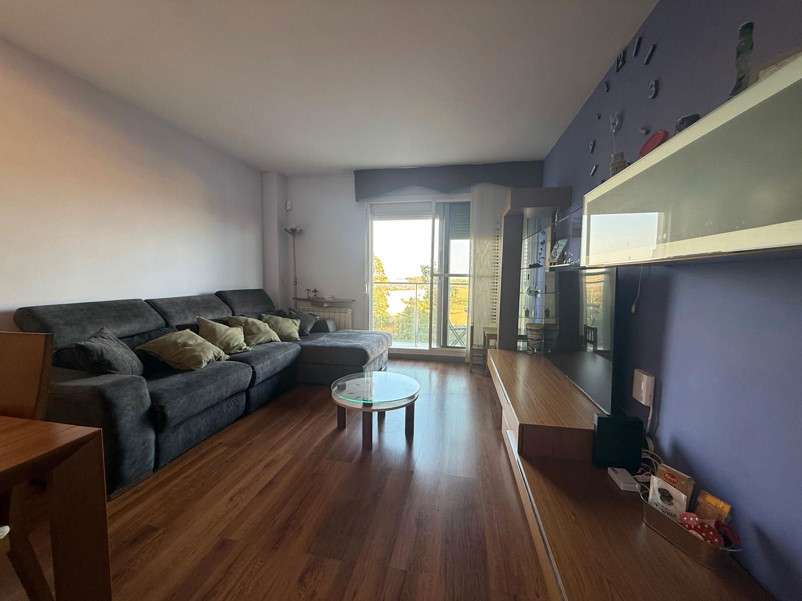 Living room of Flat for sale in Sabadell  with Heating, Parquet flooring and Furnished