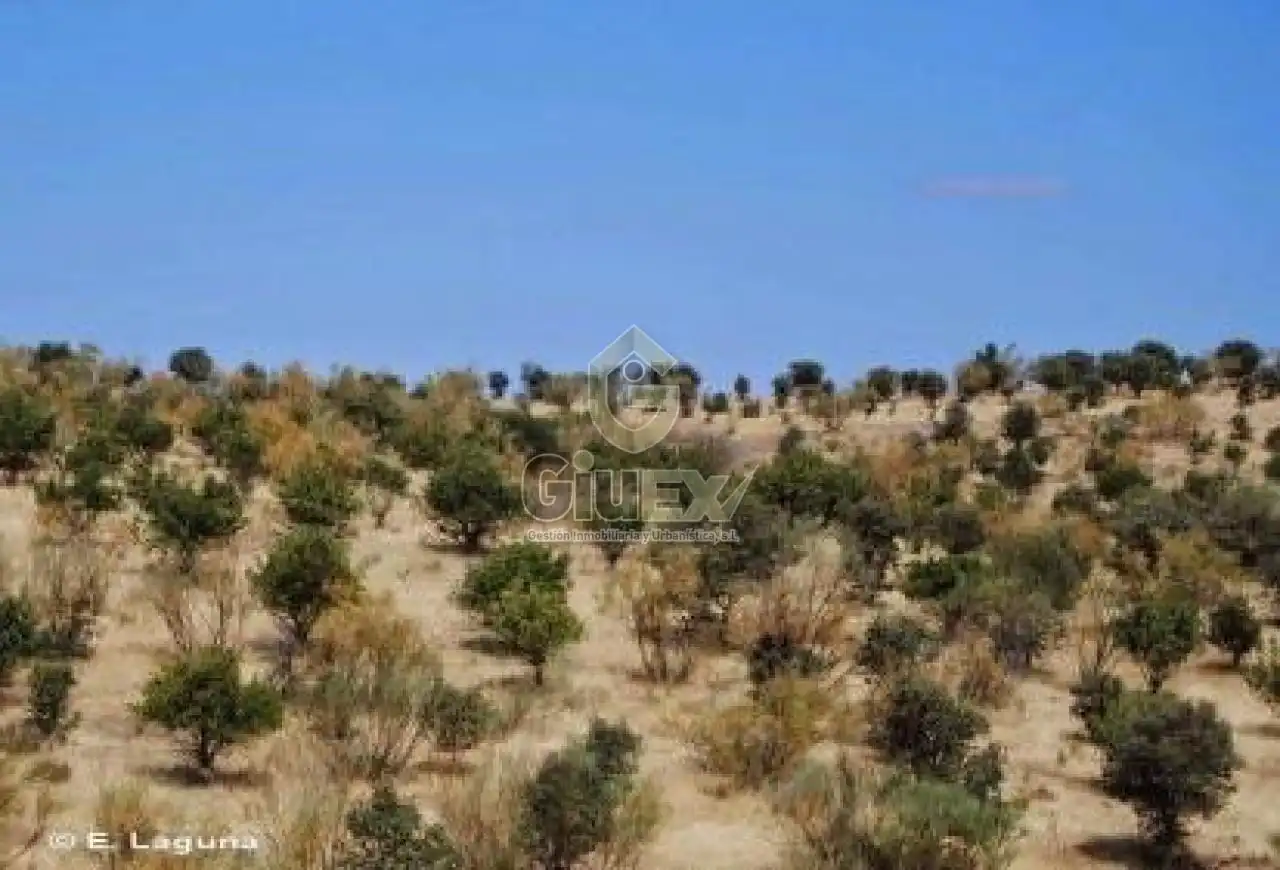 Land for sale in Los Pozuelos de Calatrava  