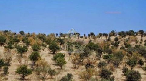 Foto 4 von Grundstücke zum Verkauf in Los Pozuelos de Calatrava , Ciudad Real