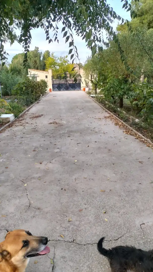 Xalet en venda a Pedanías - Extrarradio, imagen 23