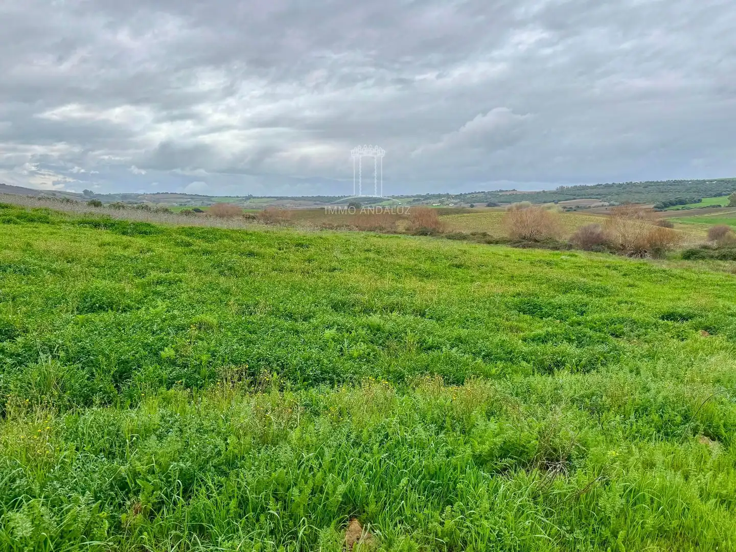 Terreni e lotti in vendita a Arcos de la Frontera, imagen 5