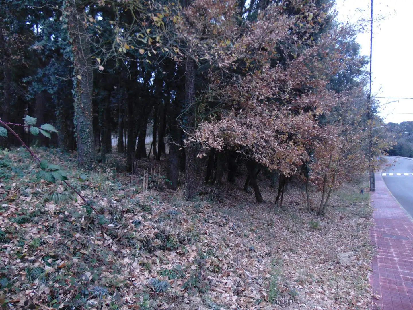 Residential land for sale in del Castell de la Popa 23, imagen 9