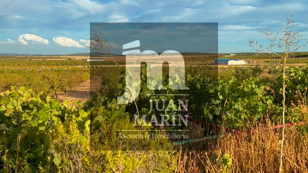 Vista exterior de Finca rústica en venta en Peñas de San Pedro con Calefacción, Jardín privado y Amueblado