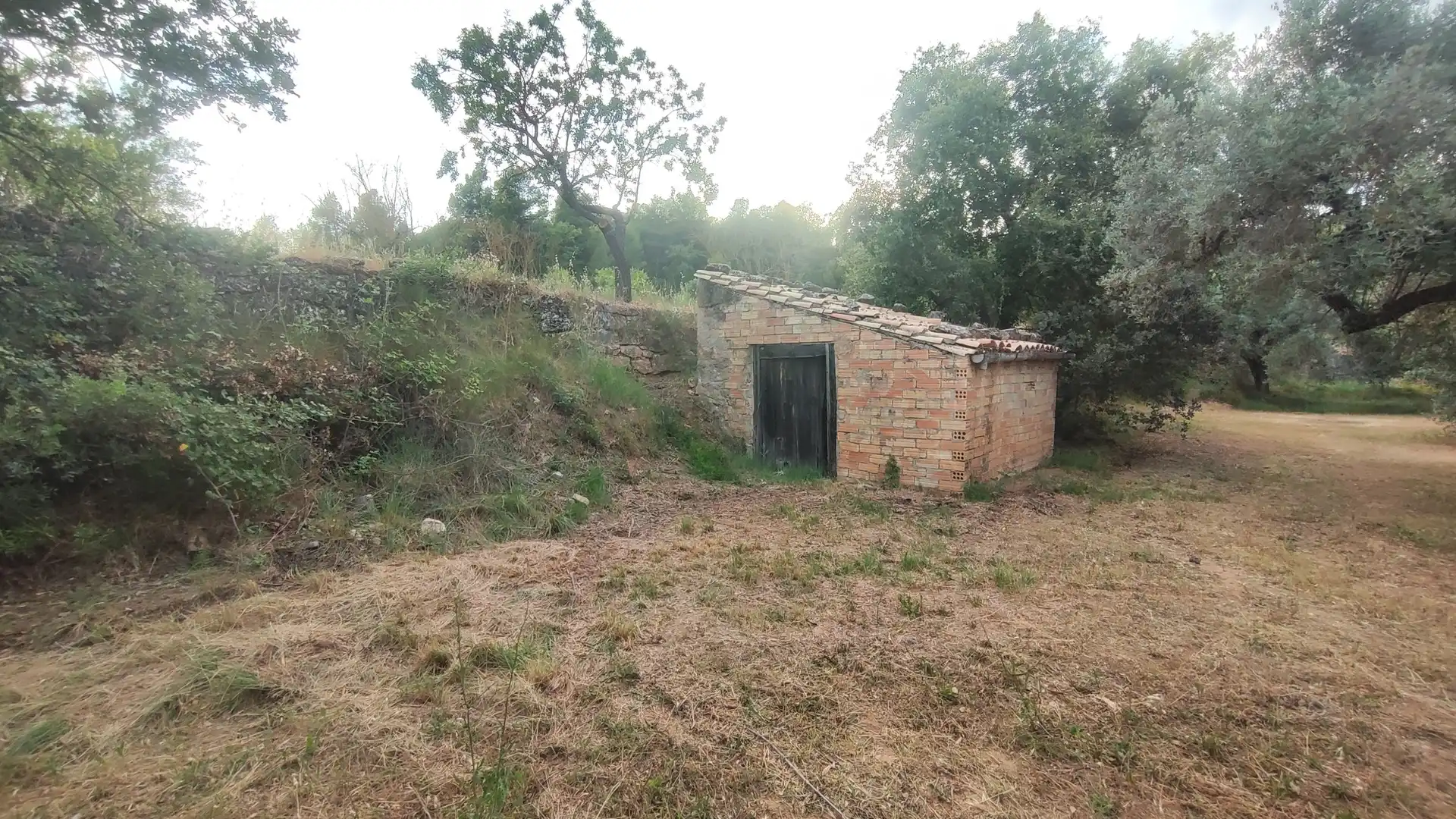 Terreni e lotti in vendita a Lledó, imagen 8