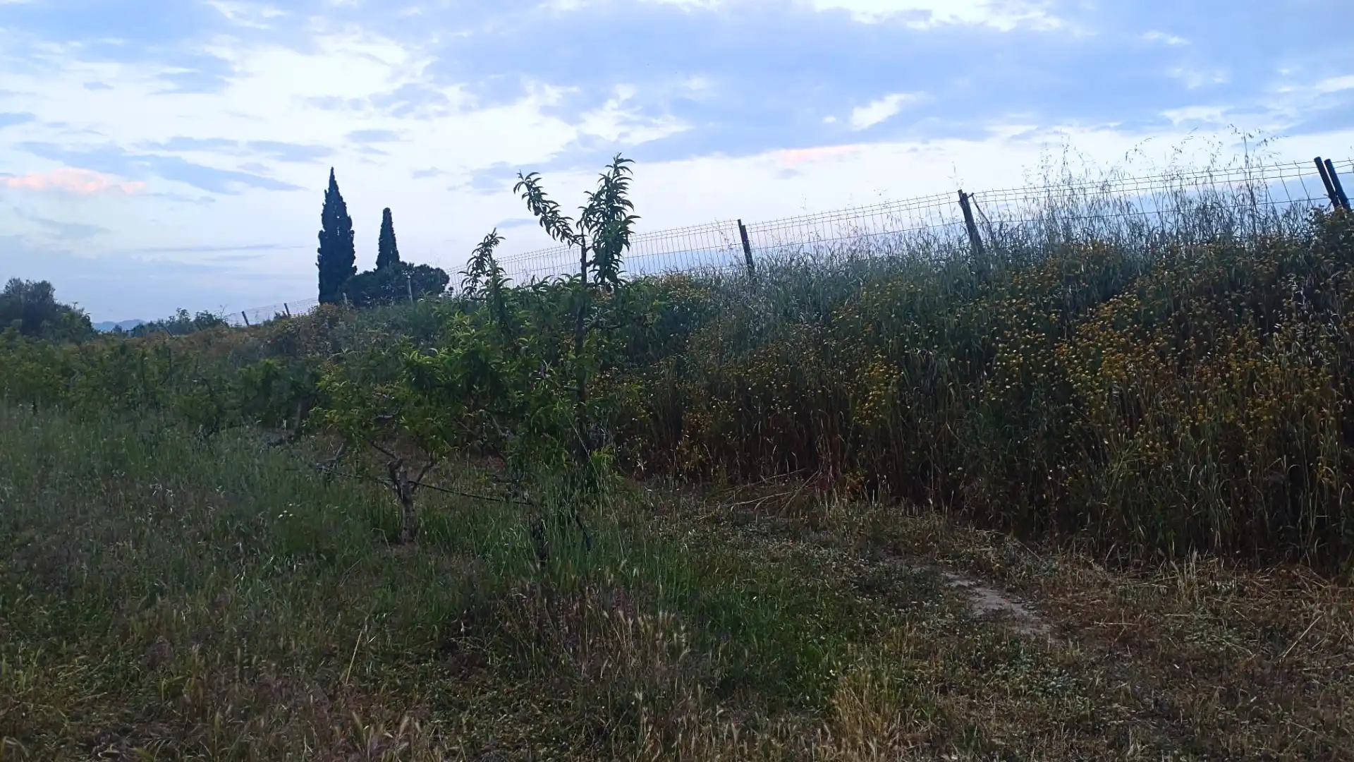Terreno residenziale in vendita a Camino Nou, imagen 31