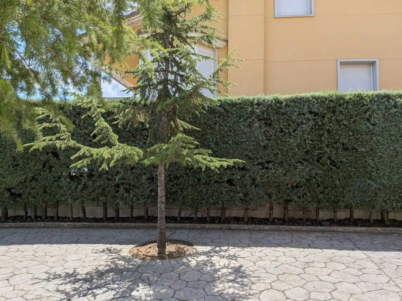 House with garden for sale in Calle Dehesa, imagen 61