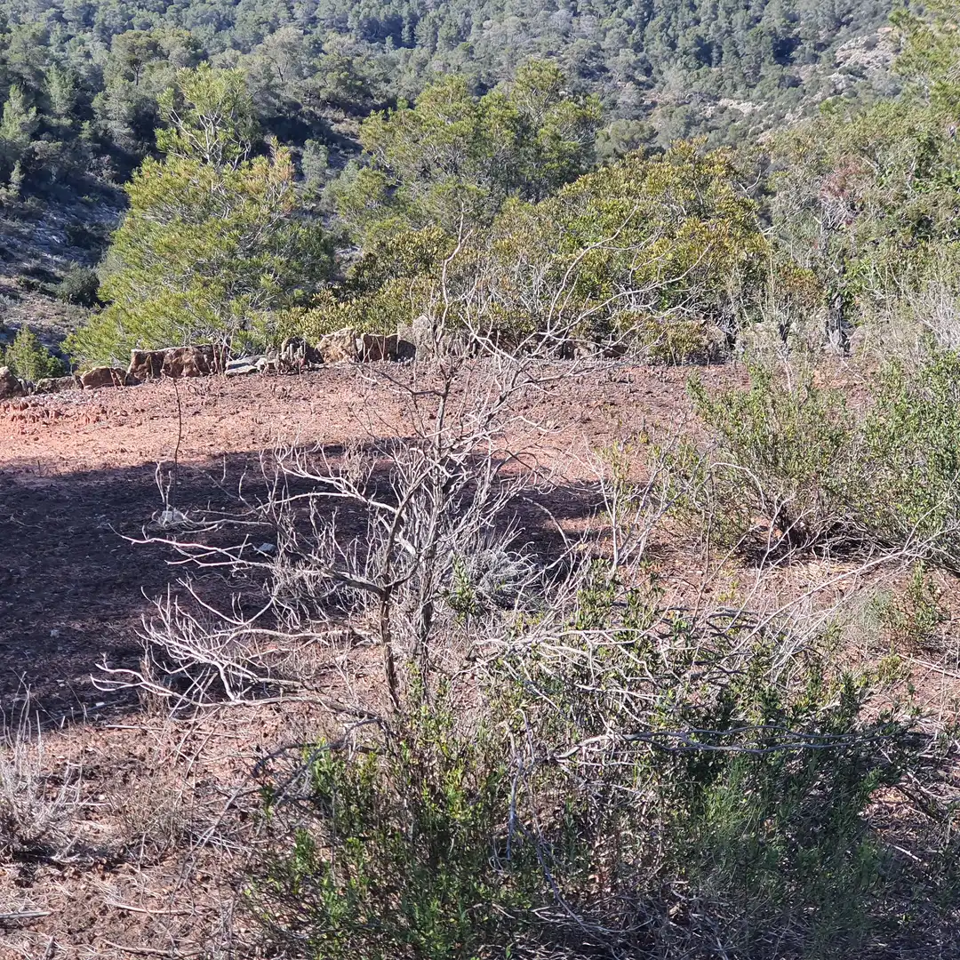 Terrain rustique à vendre à Benifallet, imagen 16