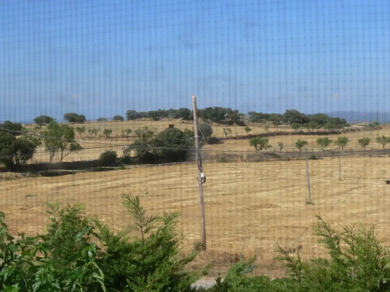 Finca rústica en venda en Guissona amb Calefacció, Jardí privat i Terrassa