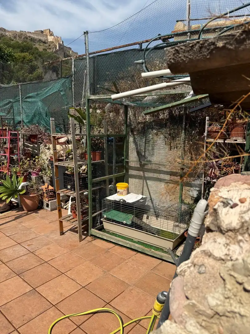 Jardí de Casa o xalet en venda en Sagunto / Sagunt