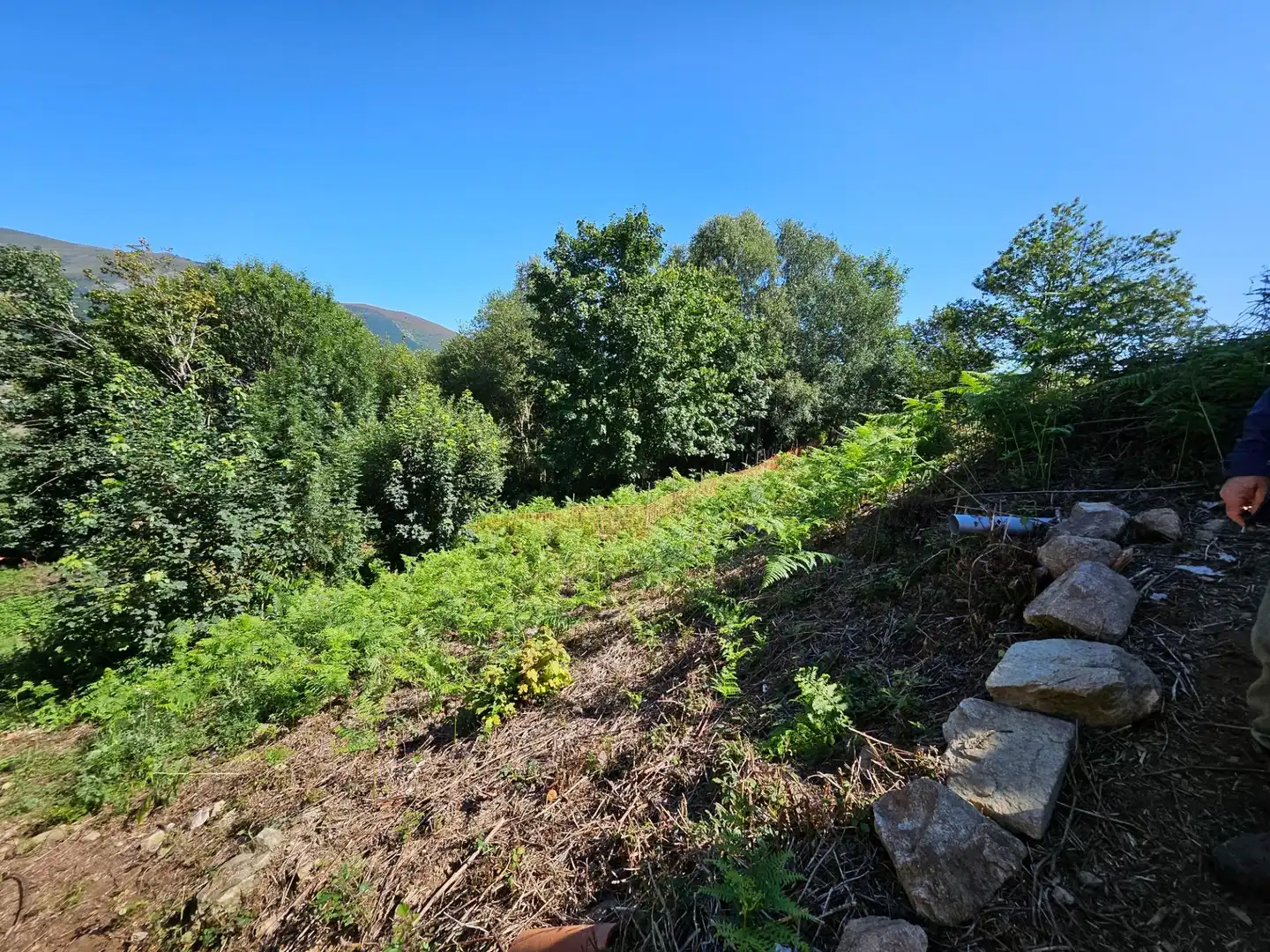 Country homes for sale in Allande