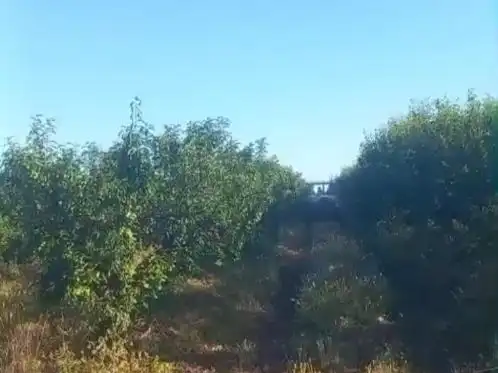 Grundstücke zum Verkauf in Saucedilla, Cáceres