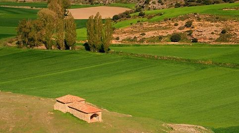 Se vende parcela en la Montaña con Casa semireformada