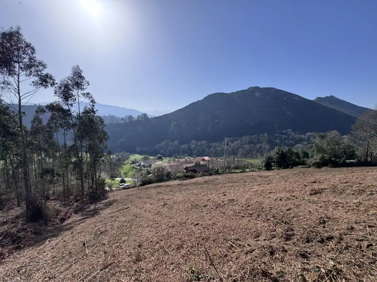 Grundstücke und Bauplätze zum Verkauf in Vibaña - Ardisana - Caldueño, imagen 19