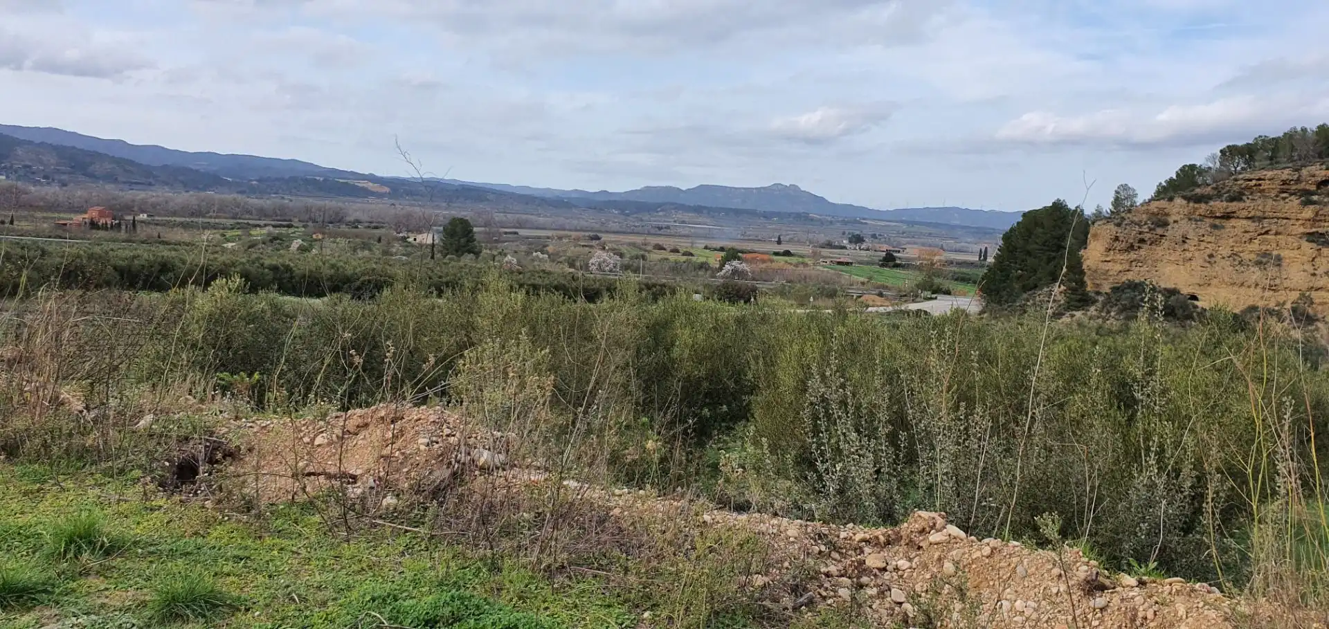 Rural land for sale in Ginestar, imagen 7