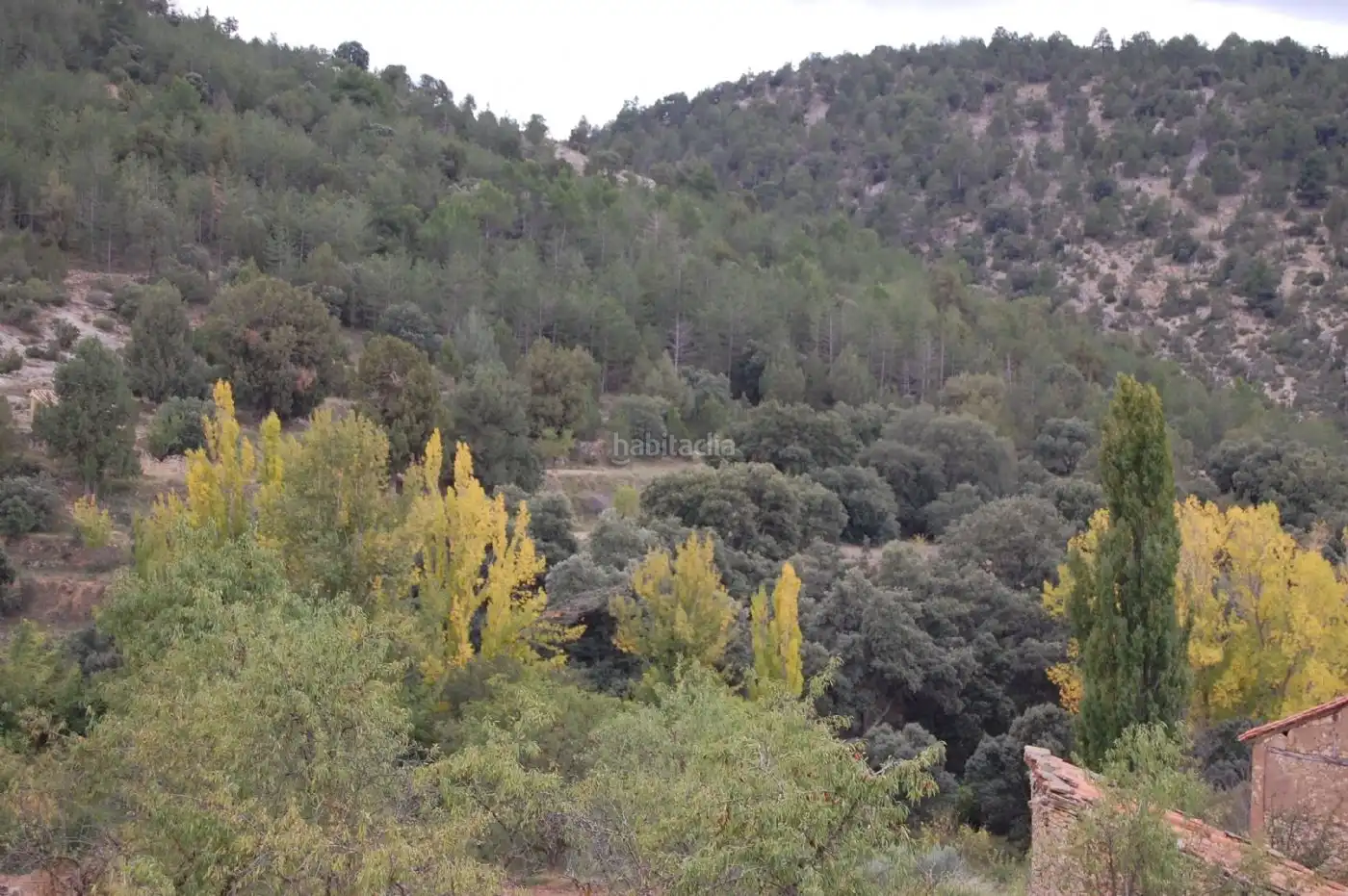 Maison à vendre à Aldea Sesga 179, imagen 29