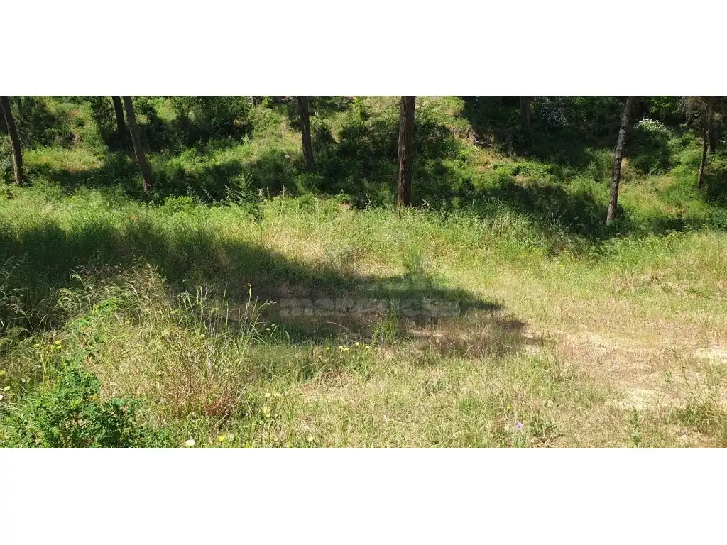 Terrain résidentiel à vendre à Platja de Pals, imagen 7