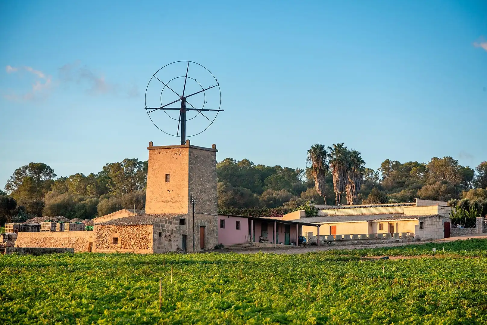 Vista exterior de Finca rústica en venta en  Palma de Mallorca con Calefacción, Jardín privado y Terraza
