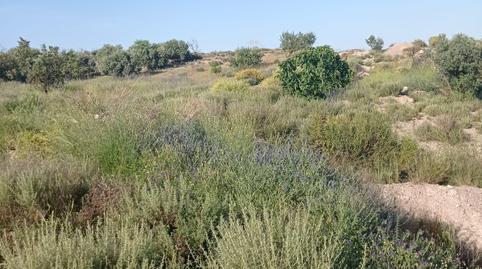 Photo 4 of Residential for sale in El Saltador, La Hoya, Lorca