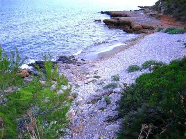 Terreni e lotti in vendita a Alcanar, imagen 4