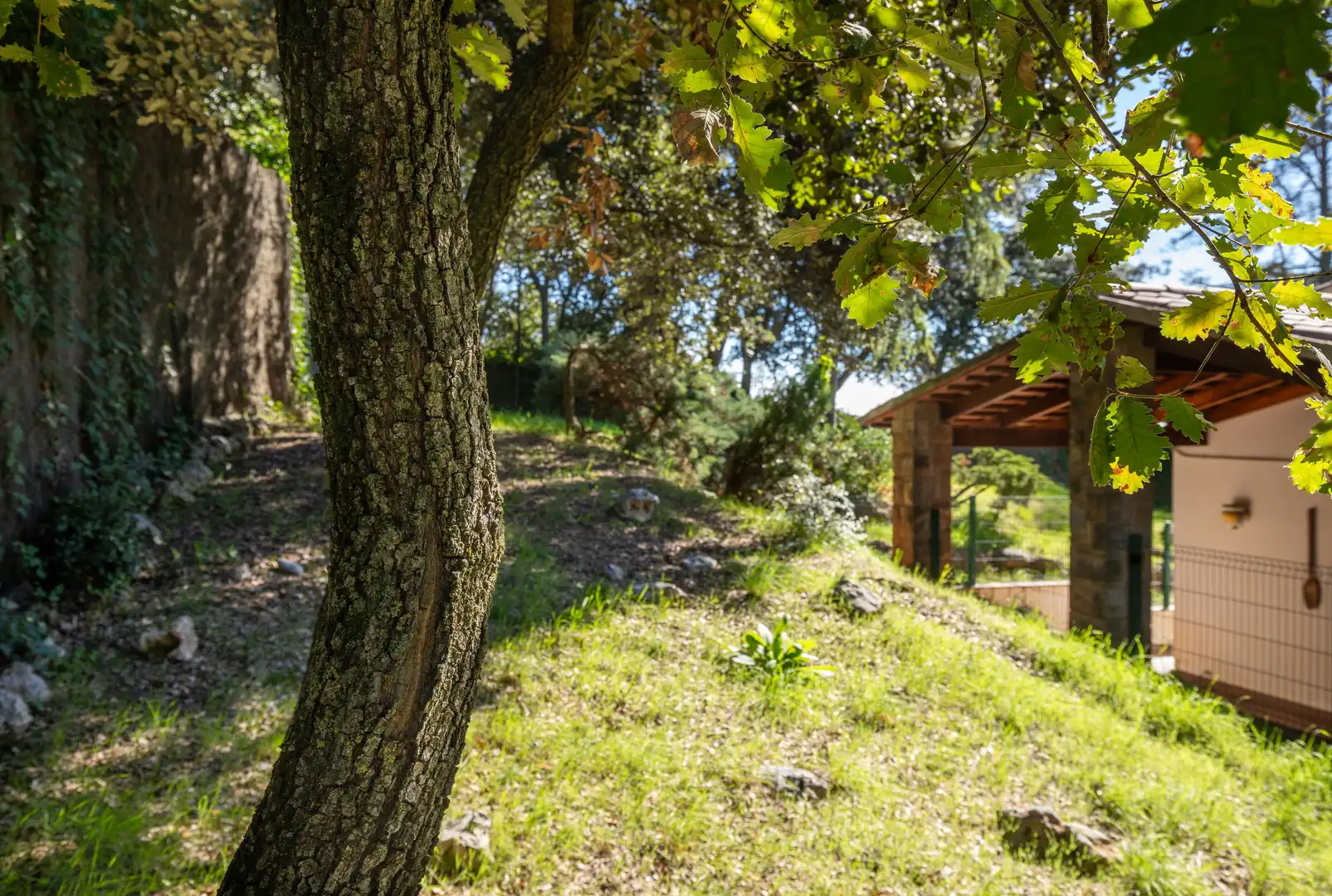 Jardí de Casa o xalet en venda en Matadepera amb Calefacció, Jardí privat i Traster
