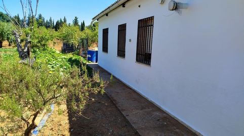 Foto 5 de Casa o chalet en venta en Argamasilla de Calatrava, Ciudad Real