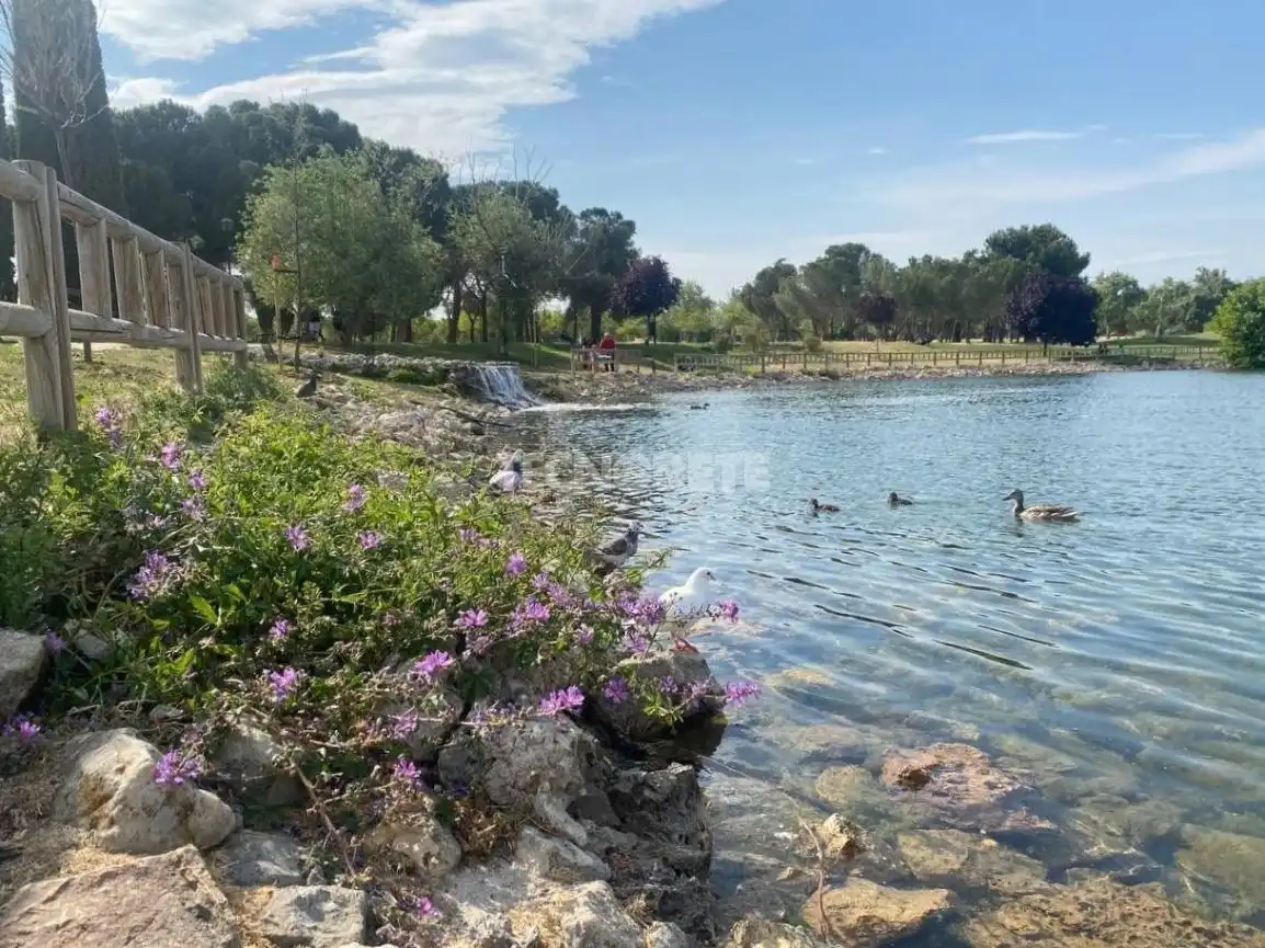 Piso en venta en Madrid con Aire acondicionado, Calefacción y Terraza