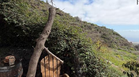 Foto 2 de Finca rústica de alquiler en  Barranco el, Centro, Güímar