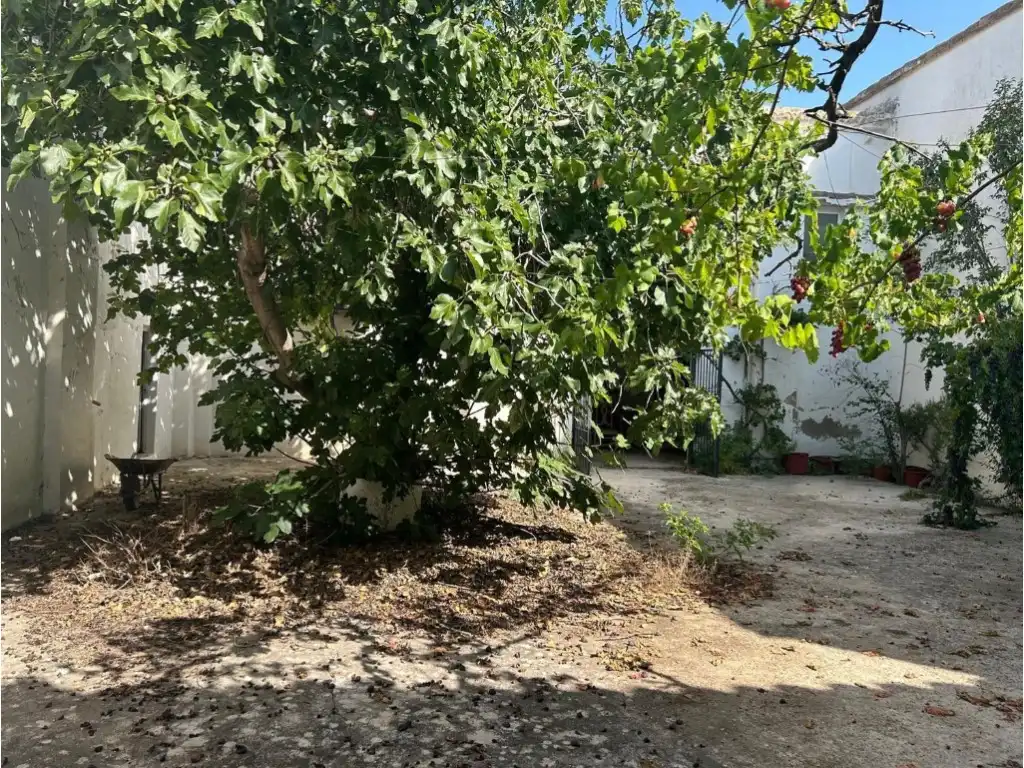 Finca rústica en venta en Altura