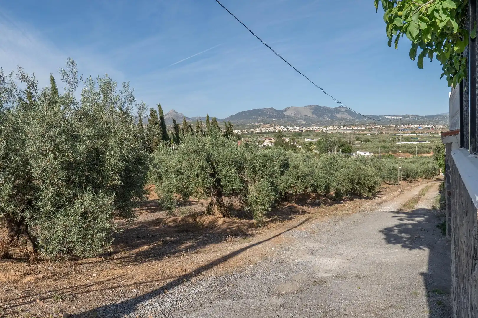 Terreni e lotti in vendita a Albolote, imagen 13