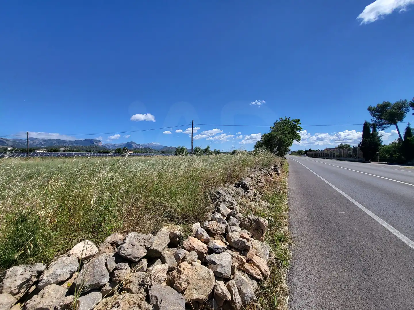 Terrain rustique à vendre à Polígono 2 Parcela 1, imagen 37