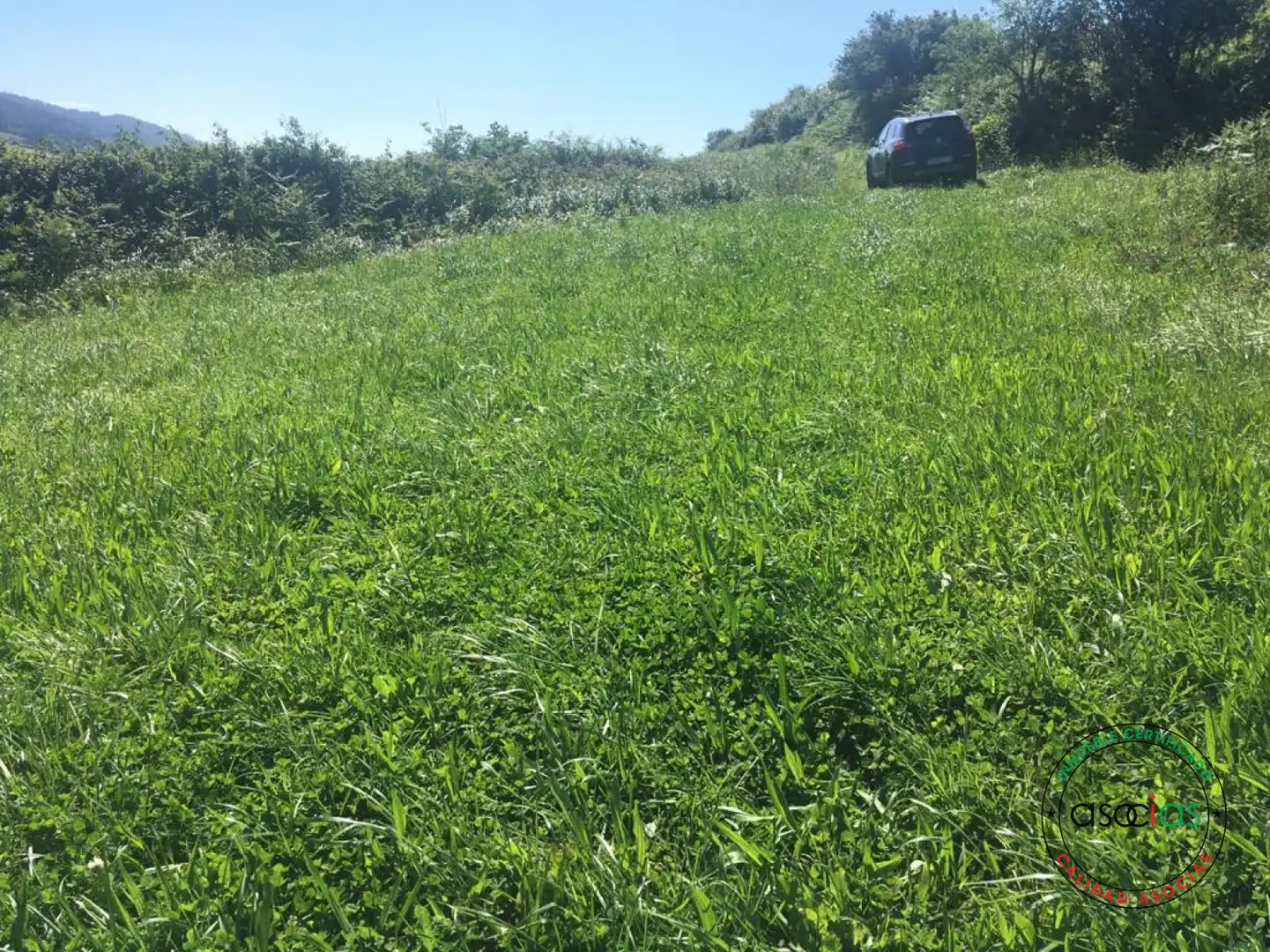 Terreno rústico en venta en C GUIMARAN, imagen 8