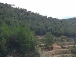 Terreno rustico in vendita a Carrer la Torreta