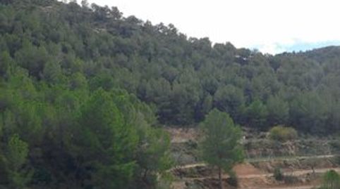 Oportunidad para iniciativas de NATURALEZA, OCIO Y TURISMO SOSTENIBLE