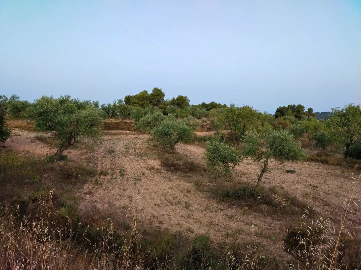 Terreno rústico en venta en Cervià de Les Garrigues