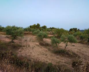 Land for sale in Cervià de Les Garrigues