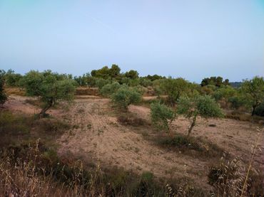 Terreny rústic en venda a Cervià de Les Garrigues