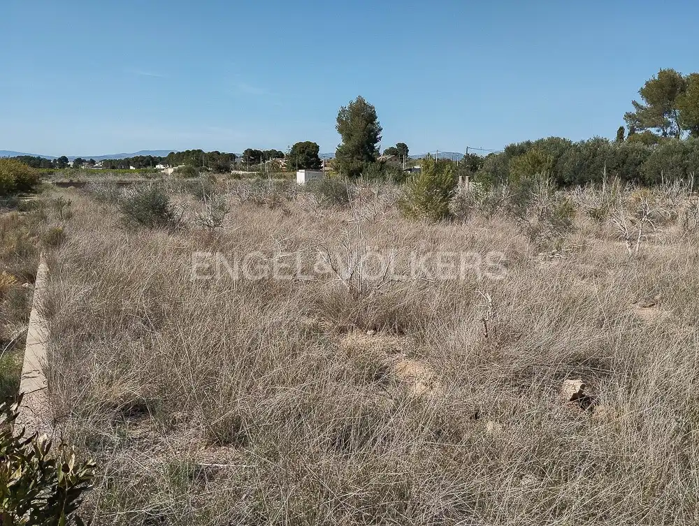 Terreni e lotti in vendita a Domeño, imagen 4