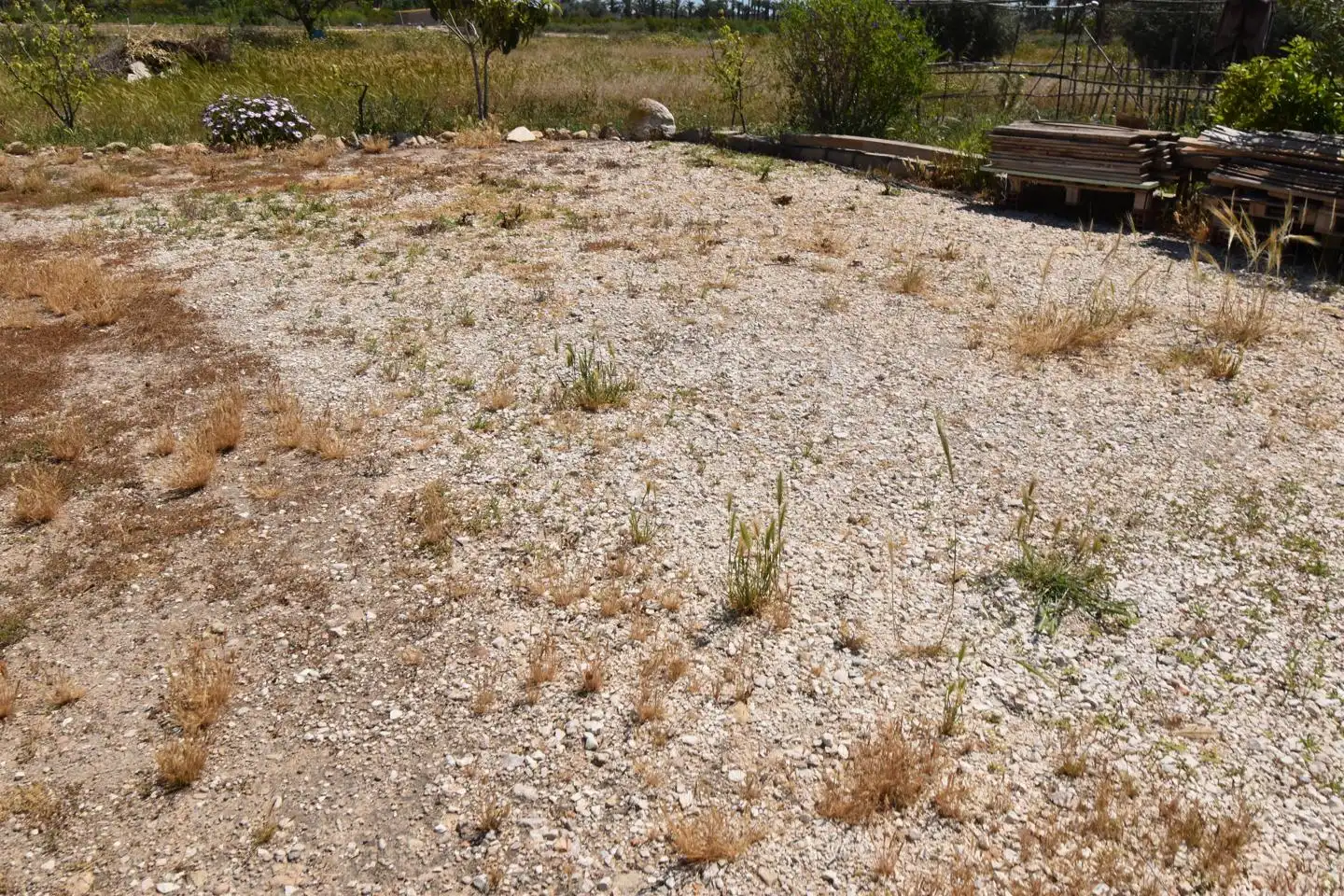Casa o xalet en venda en Elche / Elx amb Jardí privat