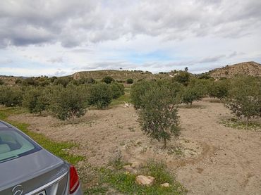 Terreno rústico en venta en Mojácar Pueblo