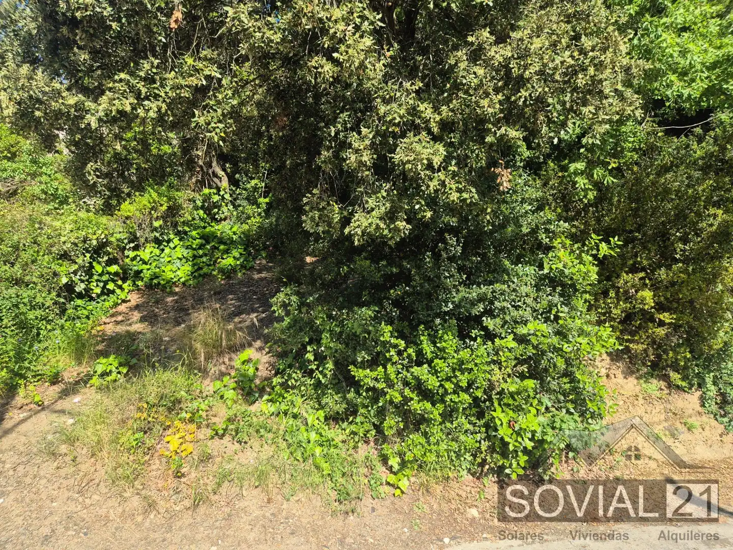 Terreno residenziale in vendita a Les Planes